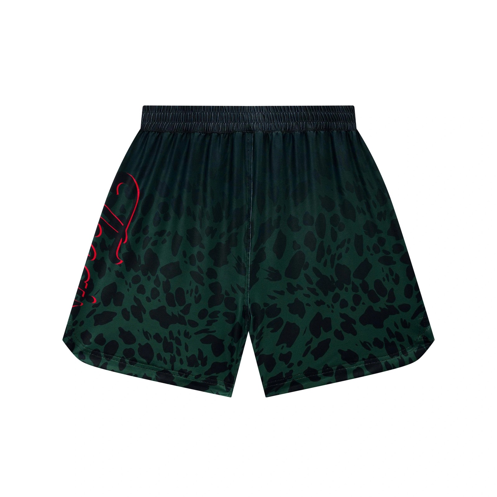 TheGIS Cheetah Shorts - Image 2